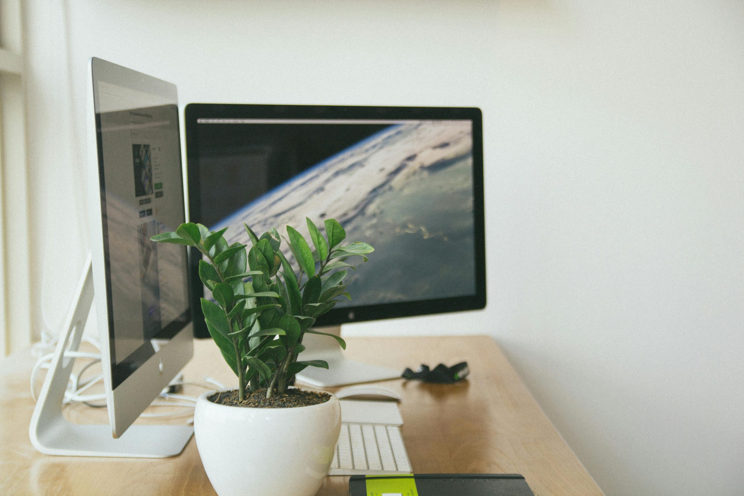 Dual Monitor Desktop Setup with Green Plant on a Wooden Desk Near a Window | Condor PH